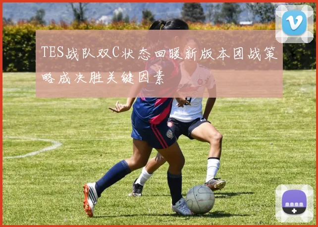 TES战队双C状态回暖新版本团战策略成决胜关键因素